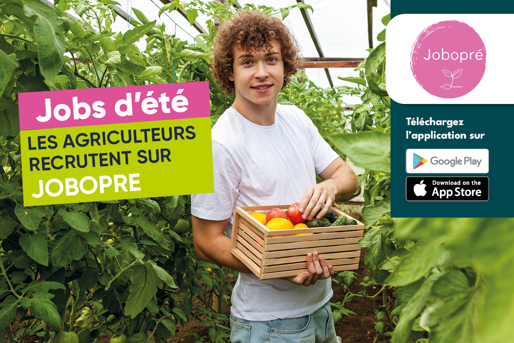 Job d'été, recrutement en agriculture